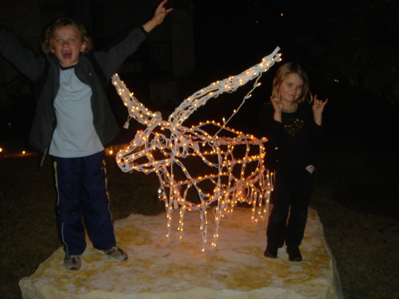 Hildebrand Christmas ScreenSaver/800x600_2006-12-21-01 Steiner Ranch Lights 37.jpg